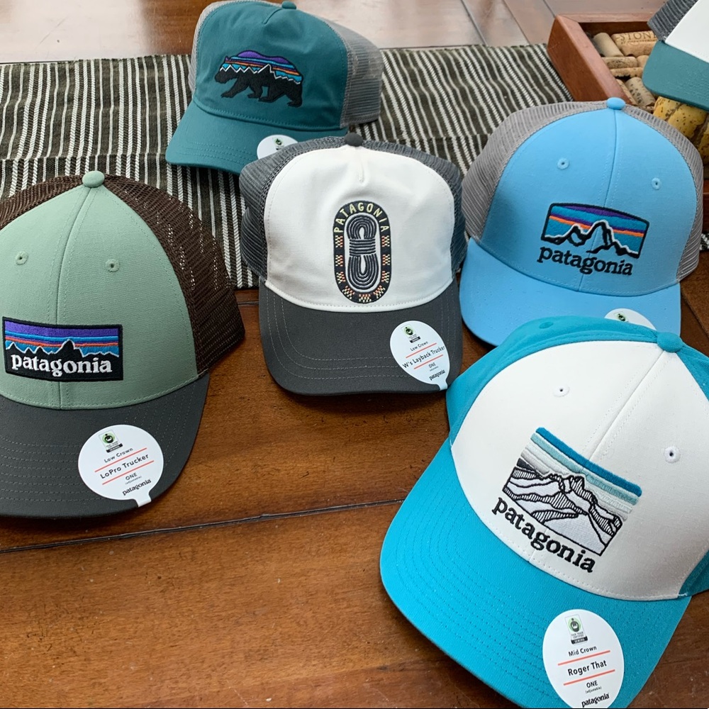 Patagonia Fitz Roy Horizons Blue Trucker Hat - Picture 7 of 8